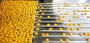 6 formas de aumentar productividad y calidad en la fabricación farmacéutica | COPA-DATA