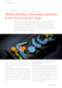 White Panther: Succulent prawns from the Austrian Alps (Austria)